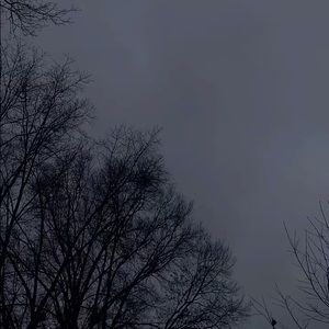 Meet your Posher, Sophia